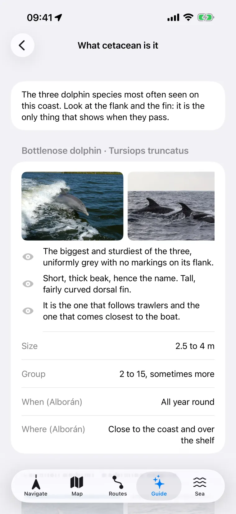 Embarca's «What cetacean is it» card with photos of the bottlenose dolphin and how to tell it apart